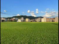 拜仁慕尼黑vs海登海姆直播_拜仁vs海登海姆免费高清直播_拜仁vs海登海姆无插件视频观看